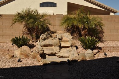 WATER FEATURE BACKYARD