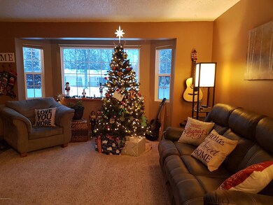 20161215_153341_001 - Copy