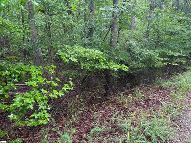 0 Lake Forest Dr unit 1540821, Abbeville, SC 29620 - photo 5