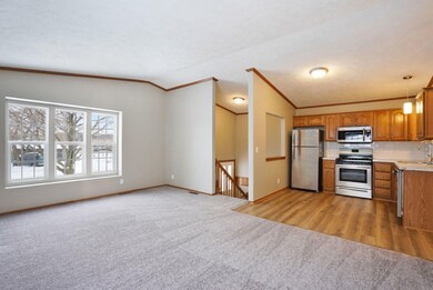 717 Amity St SE, Lowell, MI 49331 - photo 4