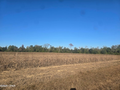 0000 Texas St, Alford, FL 32420 - photo 2