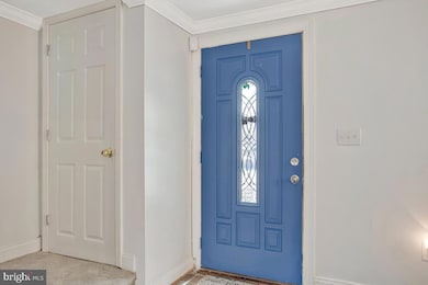 4802 Bowland Ave, Baltimore, MD 21206 - photo 5