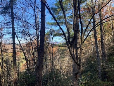 0 Lot # 3 Panther Creek Properties, Almond, NC 28702 - photo 4