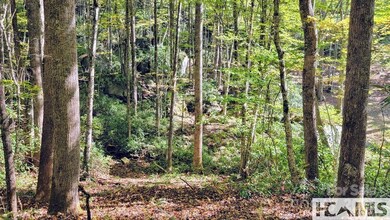 117 Speckled Feather Pass, Sapphire, NC 28774 - photo 5