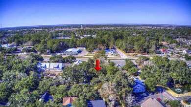 151 Berry Tree Dr unit Gated Community, Pawleys Island, SC 29585 - photo 2