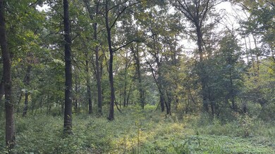 125TH Rd, Birmingham, IA 52535 - photo 7