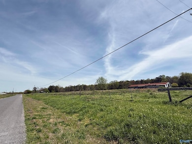 20.2 Acres Bluff Rd, New Union, AL 35956 - photo 3