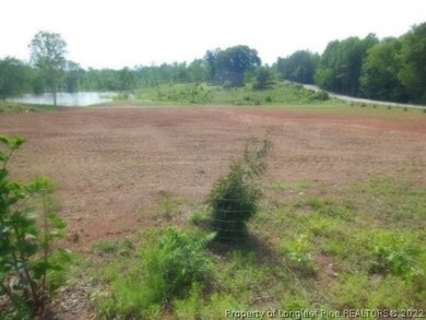 1011 Lake Dr, Siler City, NC 27344 - photo 3