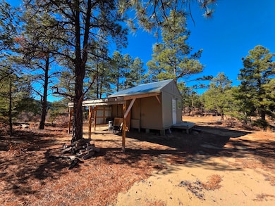 14440 County Rd 28 8 unit 10, Weston, CO 81091 - photo 7