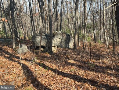 0 Rd unit WVHS2007092, Capon Bridge, WV 26711 - photo 6