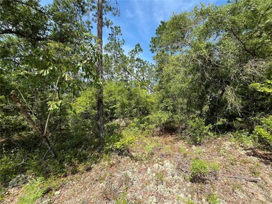 0 Holly Springs Ave unit MFROK225372, Alford, FL 32420 - photo 4