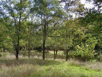 1431 Michigan 89, Otsego, MI 49078 - photo 3