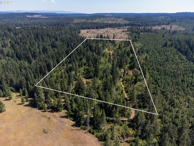 0 Coyote Song Ln unit 22276455, Snowden, WA 98672 - photo 2