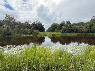 6-Z-1-E Pertuis Rd, Saint Amant, LA 70774 - photo 4