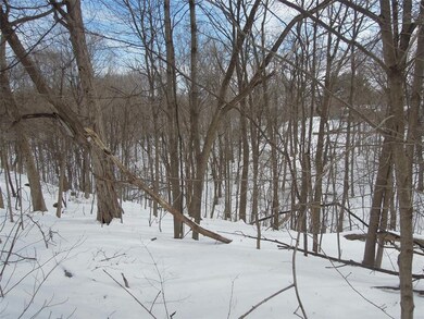 Woodland solitude--beautiful in any season