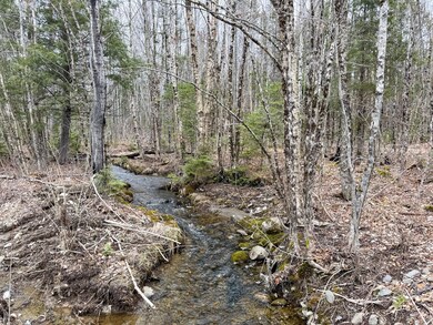 Lot 96 Freedom Way, Prentiss Township T7 R3 Nbpp, ME 04487 - photo 7