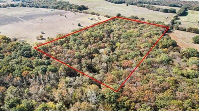 10392 S Buckholt Rd, Caney, OK 74533 - photo 5