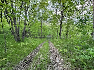 44698 Ida's Ln, Shell Lake Township, MN 56570 - photo 3