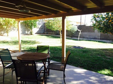 Private backyard