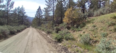 16401 Jungfrau Way Lot 9, Tehachapi, CA 93561 - photo 2