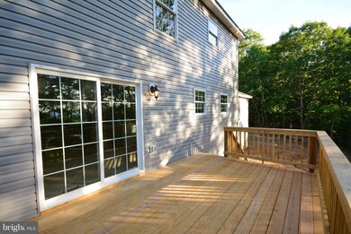 155 Lower View Rd, Strasburg, VA 22657 - photo 5