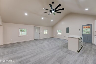 184 Shaddon Rd, Tellico Plains, TN 37385 - photo 7