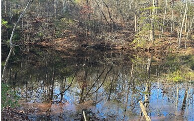 751 Kennemur Rd, Ellijay, GA 30536 - photo 4