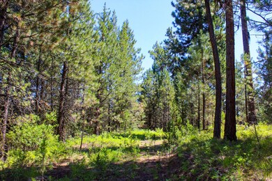 Nicely Wooded
