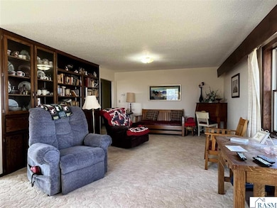 59347 County Road 17 E, Comfrey, MN 56019 - photo 6