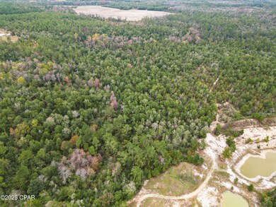 0000 Highview Cir, Chipley, FL 32428 - photo 5