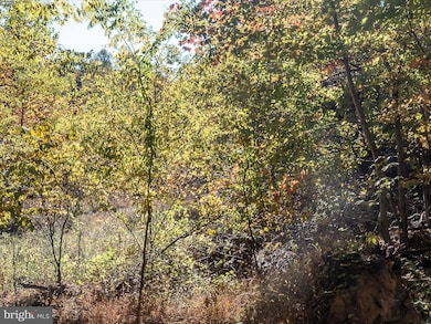 0 Tuscarora Pike Parcel 13 & 14, Martinsburg, WV 25403 - photo 6