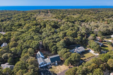 Cape Cod Bay in the background