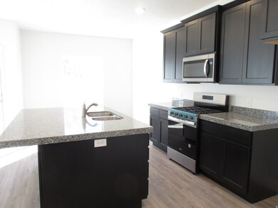 Knotty alder cabinets