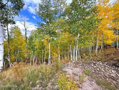 thumbnail_IMG_5682 (1)