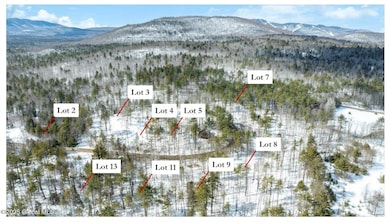 L87 Highview Ln unit Lot 3, Wevertown, NY 12886 - photo 3