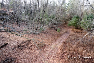 0 E 88th St unit 25061606, Newaygo, MI 49337 - photo 6