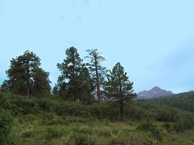 View 7