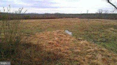 0 Hicks Ln unit 1002829752, Mine Run, VA 22508 - photo 4