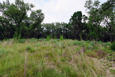 20322 Bobwhite Run, San Antonio, TX 78256 - photo 5