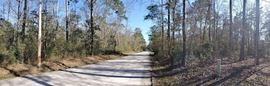 0 Choctaw Rd unit 393947, Crawfordville, FL 32327 - photo 2