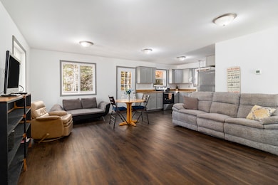 6483 S Emma Ave, Baldwin, MI 49304 - photo 4