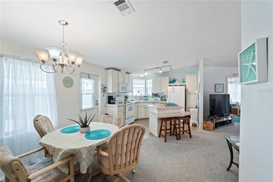 117 W Saint Annes Cir, Apollo Beach, FL 33572 - photo 4