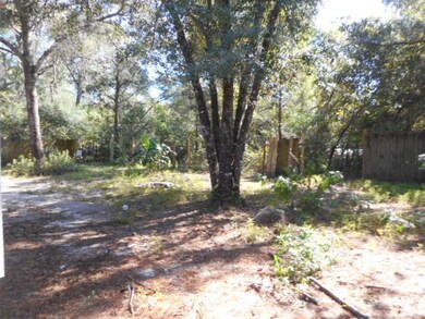 99 Concord Rd, Crawfordville, FL 32327 - photo 3