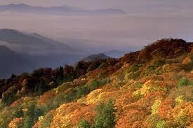 Lot 17 Eagles Nest, Johnson City, TN 37601 - photo 7