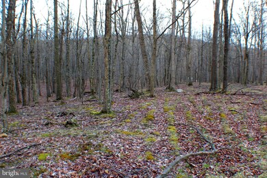 Lot 33 Beech Ln, Capon, WV 26801 - photo 5