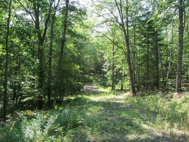 Lot B Parsons Point Rd, Edgecomb, ME 04556 - photo 5