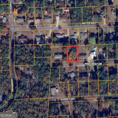 LOT 188 Pinecrest Dr, Manchester, GA 31816 - photo 4