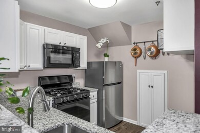 1025 Gardenview Loop unit 302, Woodbridge, VA 22191 - photo 6