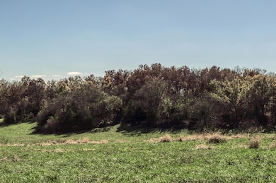 DSC_0029 (1)