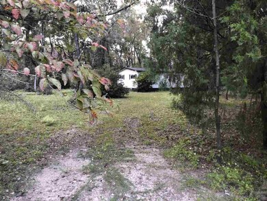 24 Kirkland Dr, Crawfordville, FL 32327 - photo 3